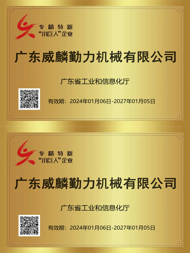專(zhuān)精特新小巨人企業(yè)